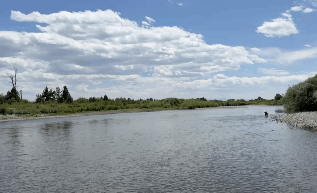 The wide, shallow river at Missouri Headwaters State Park under a blue sky with scattered cloud